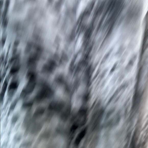 ELIE TAHARI MIRAGE CHEETAH BUTTON DOWN SHIRT - Picture 7 of 13